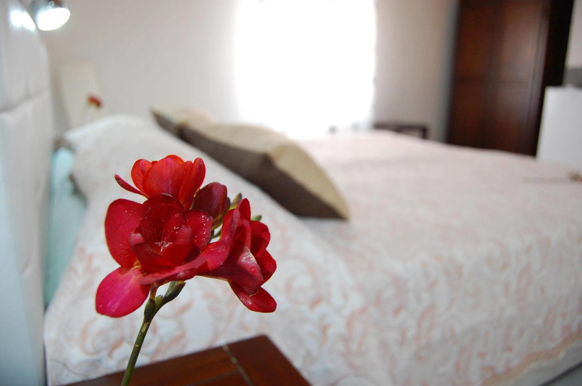 Bed and Breakfast Il Mirto E La Rosa Аренелла Экстерьер фото